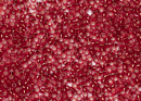 Бисер Япония MIYUKI Seed Beads 15/0 5г 0011 рубин серебряная линия внутри