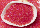 Бисер Япония MIYUKI Seed Beads 15/0 5г 0140FR светло-красный прозрачный радужный матовый
